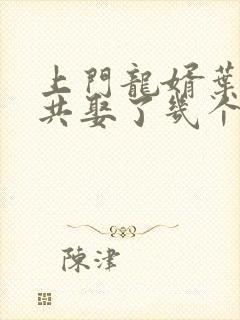 上门龙婿叶辰一共娶了几个