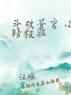 斗破苍穹 小说精校版