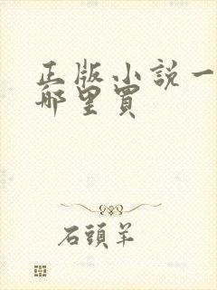 正版小说一般在哪里买