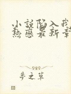 小说陷入我们的热恋最新章节阅读