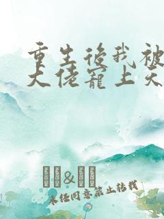 重生后我被病娇大佬宠上天 txt