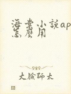 海棠小说app怎么用