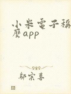 小米电子称用什么app