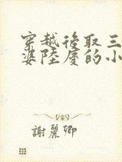 穿越后取三个老婆陆庆的小说