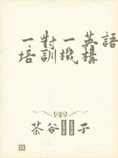 一对一英语口语培训机构