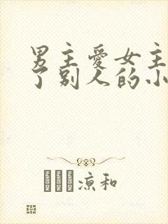 男主爱女主却娶了别人的小说