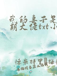 我的妻子是大乘期大佬txt小说