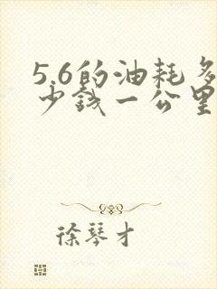 5.6的油耗多少钱一公里