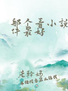 那个看小说的软件最好