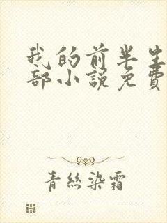 我的前半生第二部小说免费阅读