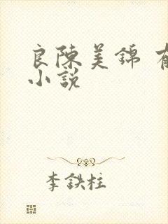 良陈美锦 有声小说