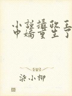 小说摄政王的掌中娇重生了