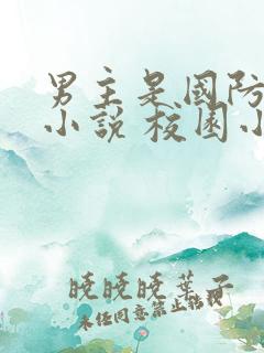 男主是国防生的小说 校园小说