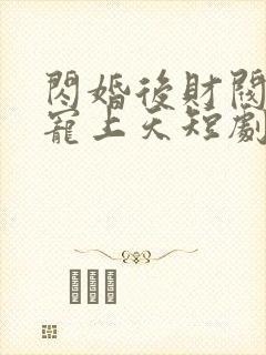 闪婚后财阀老公宠上天短剧