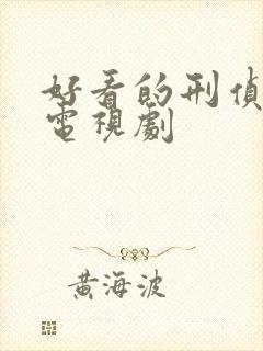 好看的刑侦爱情电视剧