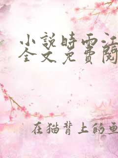 小说时雨江亦琛全文免费阅读全文