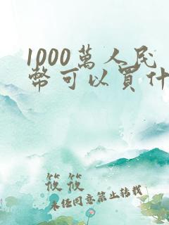 1000万人民币可以买什么车