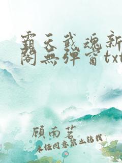 霸天武魂新笔趣阁无弹窗txt
