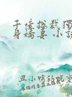 千亿总裁独宠替身娇妻 小说完整