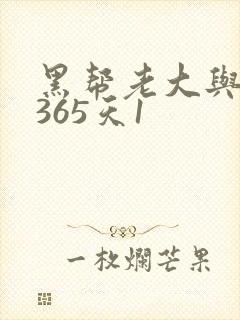 黑帮老大与我的365天1