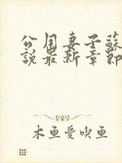 公用妻子苏晴小说最新章节更新时间