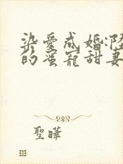 染爱成婚:陆少的蜜宠甜妻