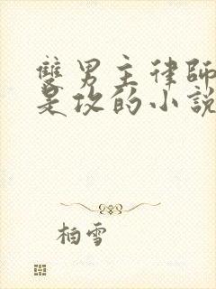 双男主律师姓顾是攻的小说