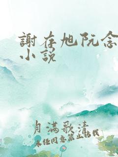 谢存旭阮念清的小说