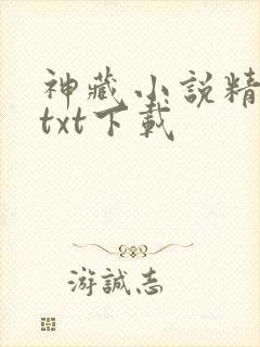 神藏小说精校版txt下载