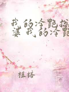 我的冷艳总裁老婆 我的冷艳总裁老婆