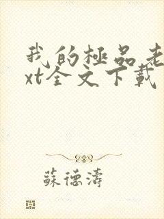 我的极品老婆txt全文下载