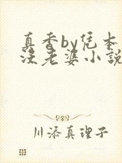 真香by凭本事没老婆小说免费阅读