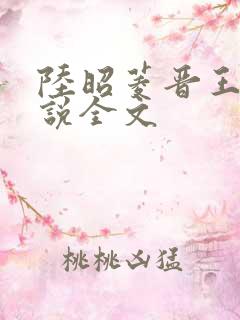 陆昭菱晋王的小说全文