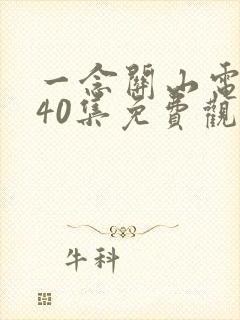 一念关山电视剧40集免费观看