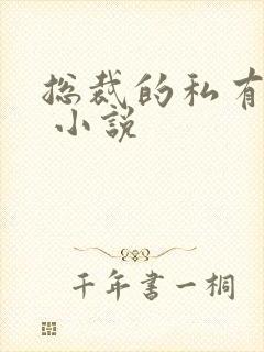 总裁的私有宝贝 小说