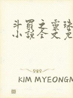 斗罗之灵珠神剑小说全文免费阅读全文