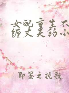 女配重生不再纠缠丈夫的小说推荐