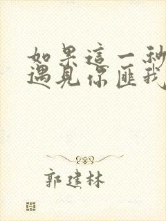 如果这一秒我没遇见你匪我思存