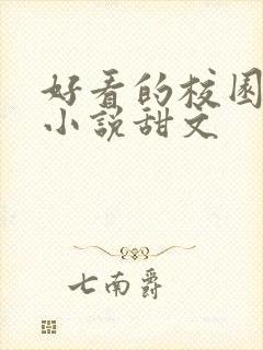 好看的校园言情小说甜文