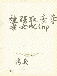 被强取豪夺的恶毒女配(np