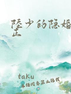 陆少的隐婚罪妻正