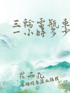 三轮电瓶车充电一小时多少度电