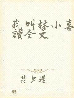 我叫林小喜全阅读全文