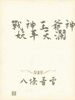 战神王爷神医妃 妖平天澜