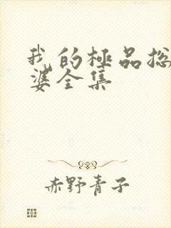 我的极品总裁老婆全集