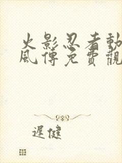 火影忍者动漫疾风传免费观看