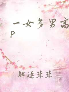 一女多男高hnp