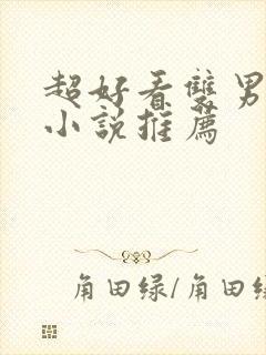 超好看双男主的小说推荐