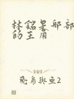 林铭是哪部小说的主角