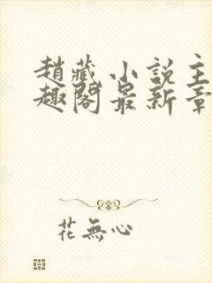 赵藏小说主角笔趣阁最新章节更新